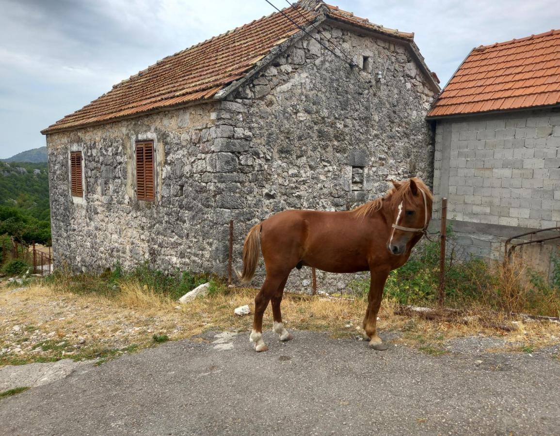 Konak Ugnji-Village Cetinje Exterior foto